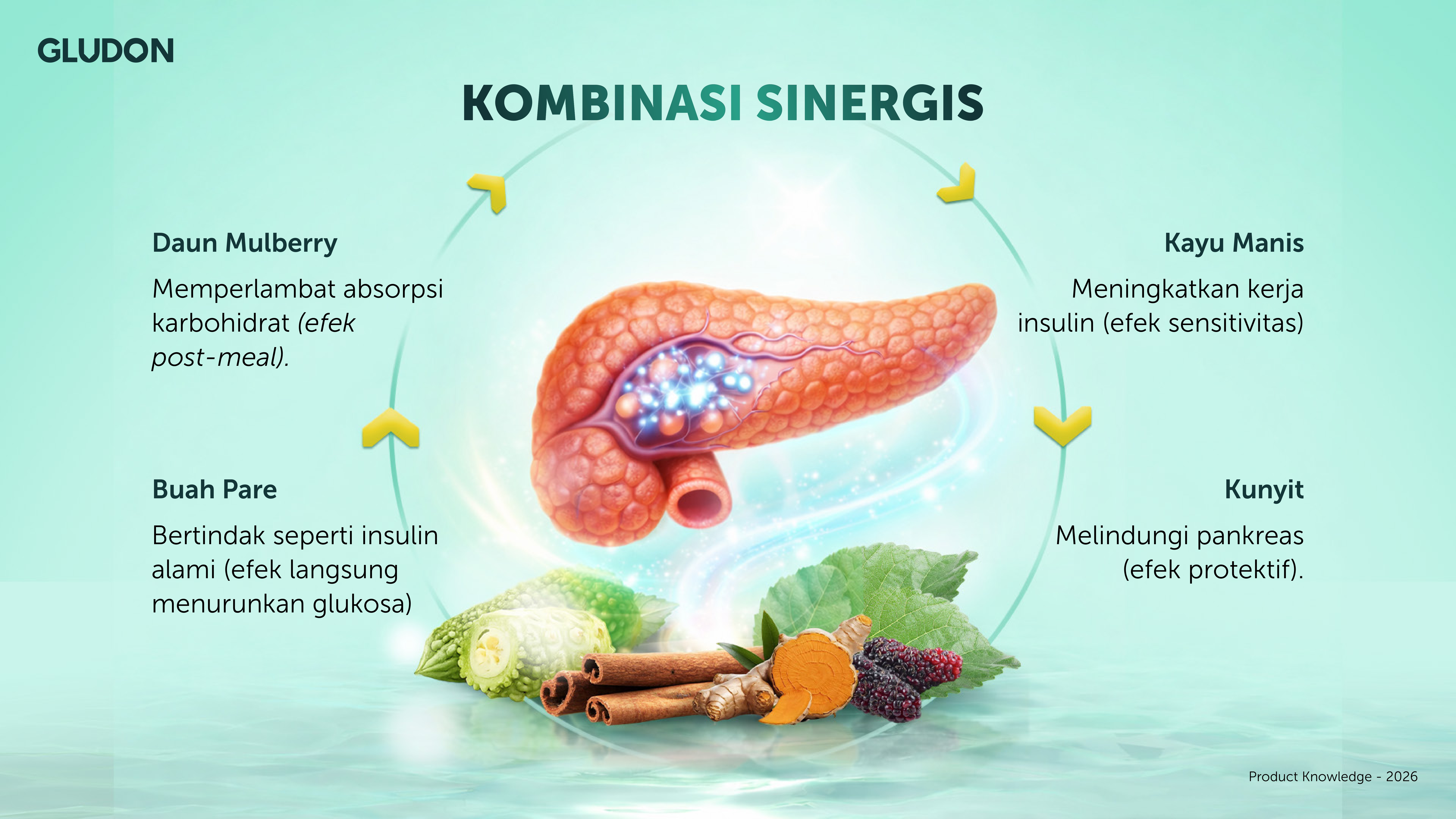 Visual kombinasi sinergis Gludon